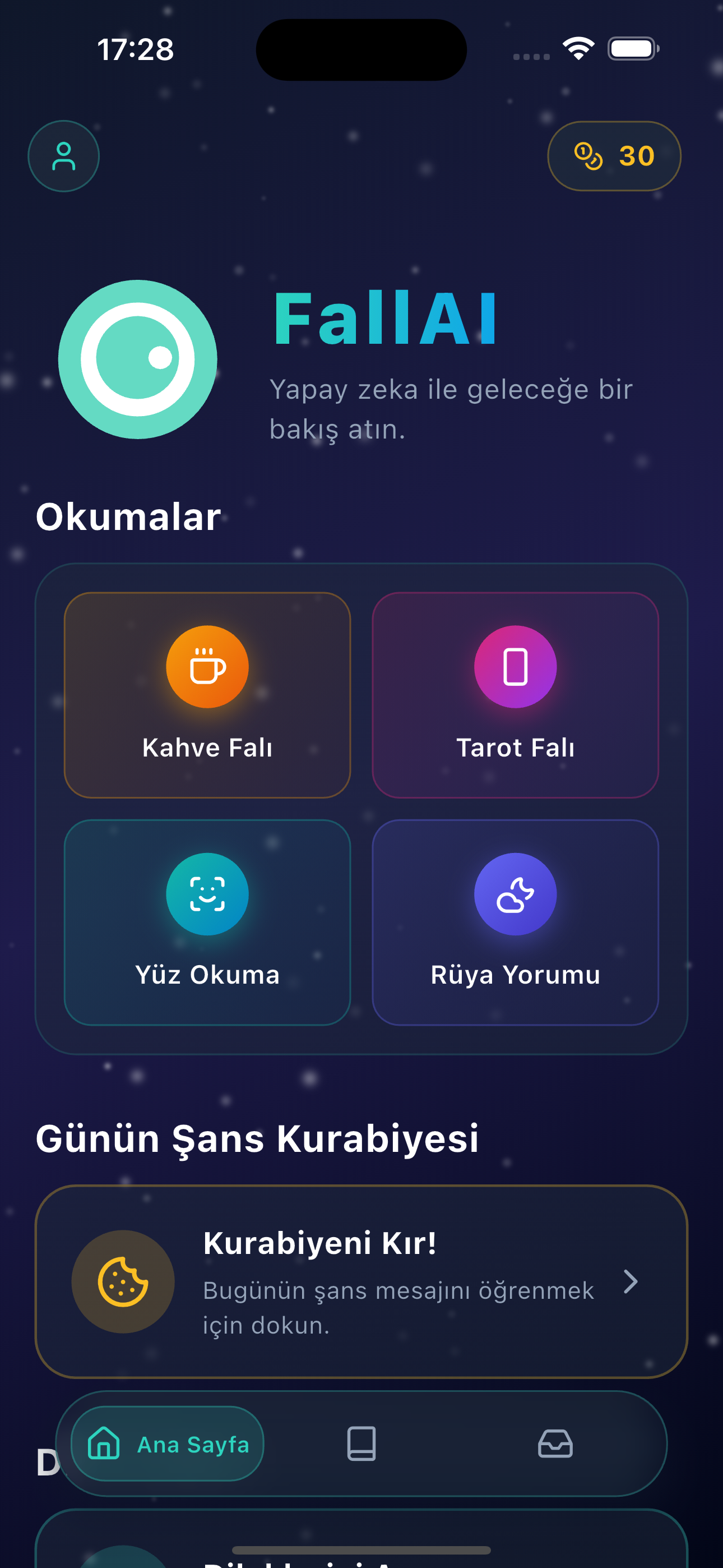 FallAI Uygulama Ekranı